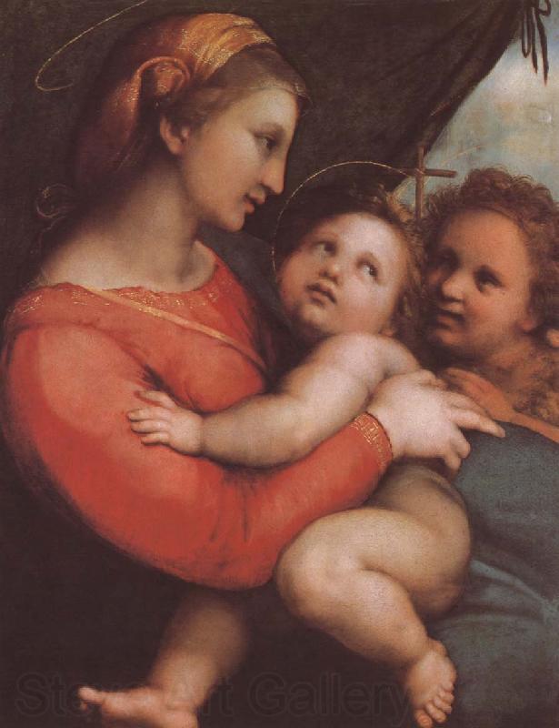 RAFFAELLO Sanzio The virgin mary and younger John Norge oil painting art